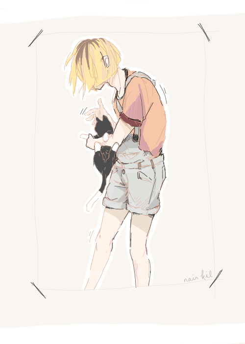 naiskil:  kuroo is a nice guy and kenma likes cats \o/