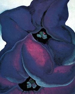 elpasha71:   Purple Petunias (1925) Georgia