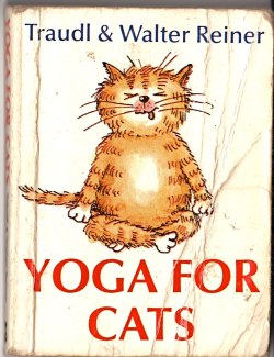 Yoga For Animals Xdddd