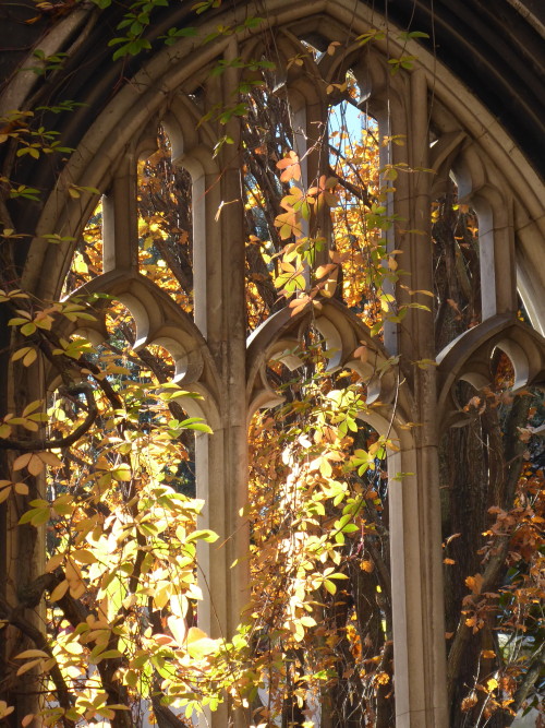 florealegiardini:St Dunstan-in-the-East, London, England ~ Nigel Turner