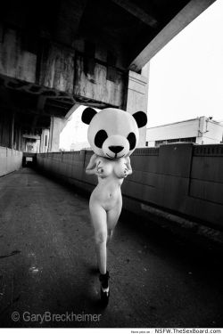 best-nsfw-pictures:  naked panda