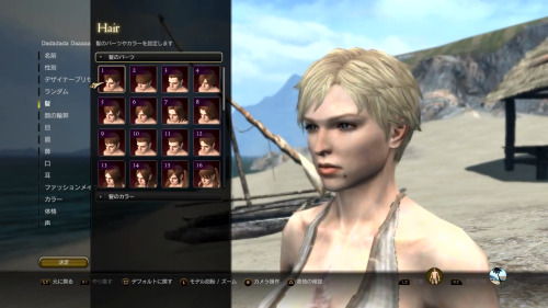 DDON Hairstyles  100%, ½ the time