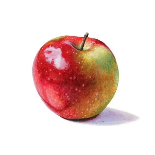 This little apple was done as the demo piece for one of my @Skillshare classes last year. I worked f