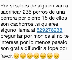 mi-alocado-mundo:  Difundir!! Por favor!! futubandera jaidefinichon 