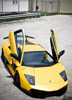 luxempress:  Lamborghini-LP670-4-SV by www.MyCarHeaven.com