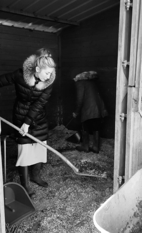 @Dichenlachman: Shoveling  some horse  in #Belgium with my Auntie last month, maybe s