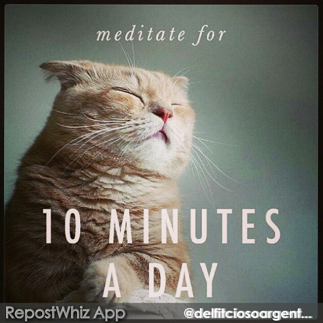 actually very sound advice. my brain just doesn&rsquo;t shush&hellip;like