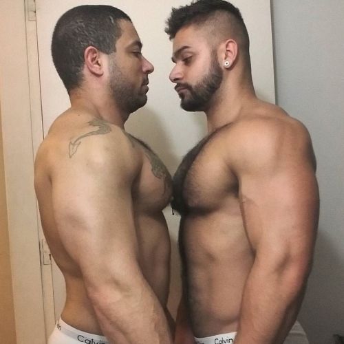 jimbibearfan:  xcomp:Nom nom nom! Battle of the pecs…..