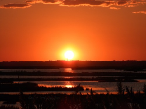 An Ode To Sunset