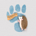 hellohuffypuffs avatar