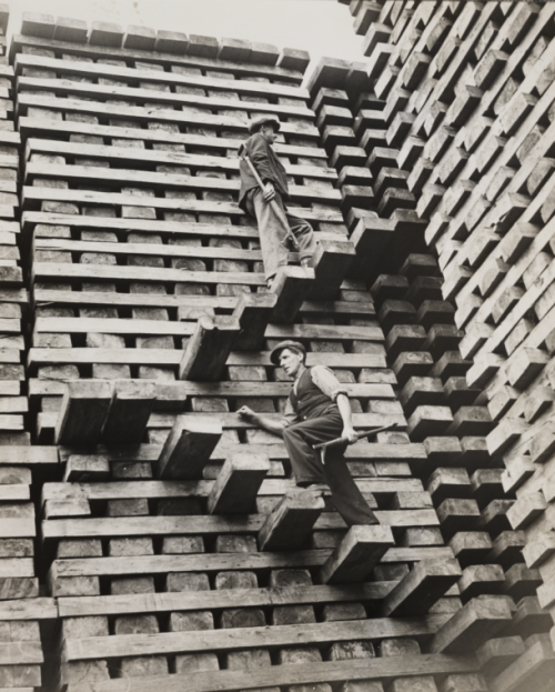 inland-delta:A Mountain of Railway Sleepers, taken in October 1937 by Fox for the Daily Herald. 