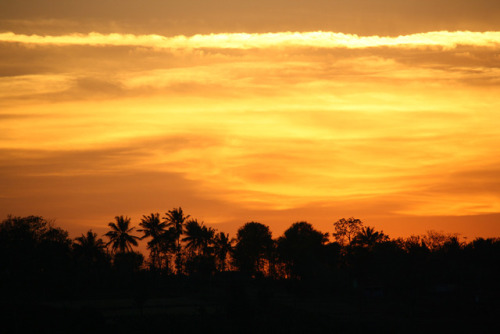 Sunset in Nagarhole National Park, India