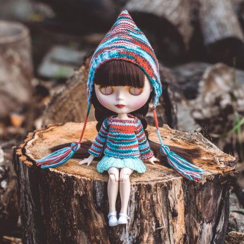 Weekend in the village. . . #blythedoll #blythe #blythetbl #dollphotography #blythecrochet #blythe