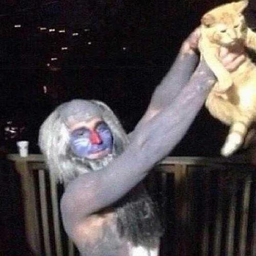 jaidefinichon:  RAFUCKIN PLZ