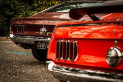 ford-mustang-generation:  Ford Mustang Mach