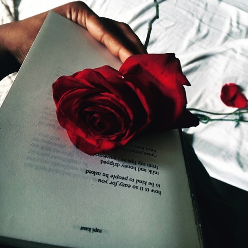Roses&Books