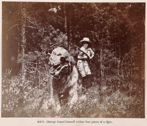 theoddmentemporium:  The Real Lost Boys The Llewelyn Davies boys, George, John, Peter, Michael and Nicholas, were the inspiration behind J M Barrie’s Peter Pan and various other of his Neverland characters. Barrie first met the children in Kensington