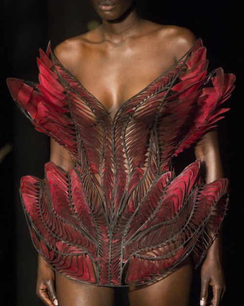  Iris van Herpen Fall Winter 2018 Haute Couture 