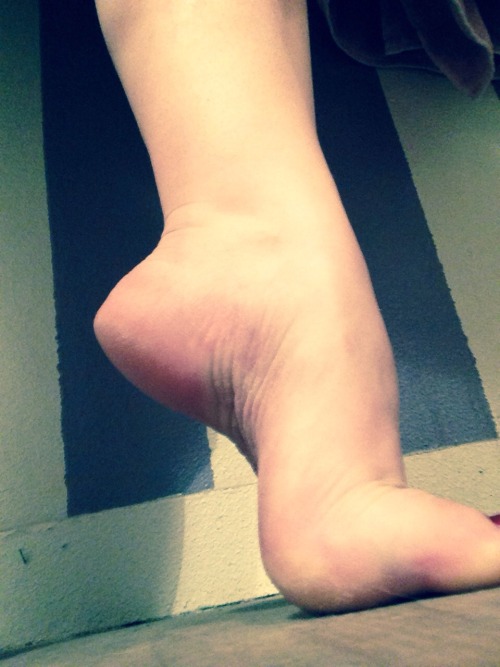 cozytoesies5678: Merry Christmas(: