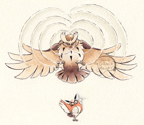 gracekraft:Last of the first route Johtodex birds is the Hoothoot line, who you can only encounter a