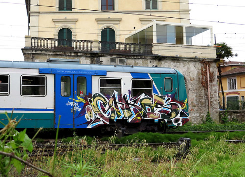 NITROCOMBI