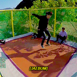 tuanpumpkins: two types of people on the trampoline.