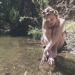 fluoxetinegreen444:Alana &lt;3 