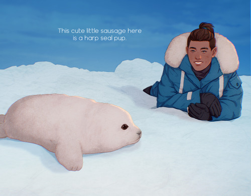 sword-over-water:  Modern AU: Scientist and Film-maker Sokka, Veterinarian and Caretaker Katara.My shapeshifters AU means I’ve been watching a lot of seal and penguin videos like this. (They’re adorable and my recommendation is now full of them.)It