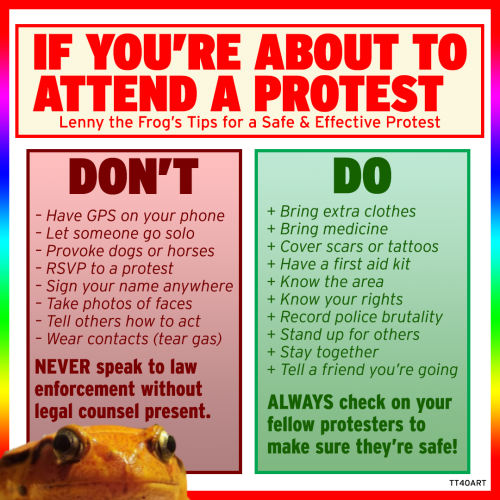 tt40art:If You’re Going to a Protest…BUT it’s a cute and meme-able image of a little froggy! If you don’t have the time, patience, or attention span to read my longer post about the topic, I’ve created a handy guide for protesting that can be