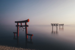 takashiyasui:Torii in Ariakekai