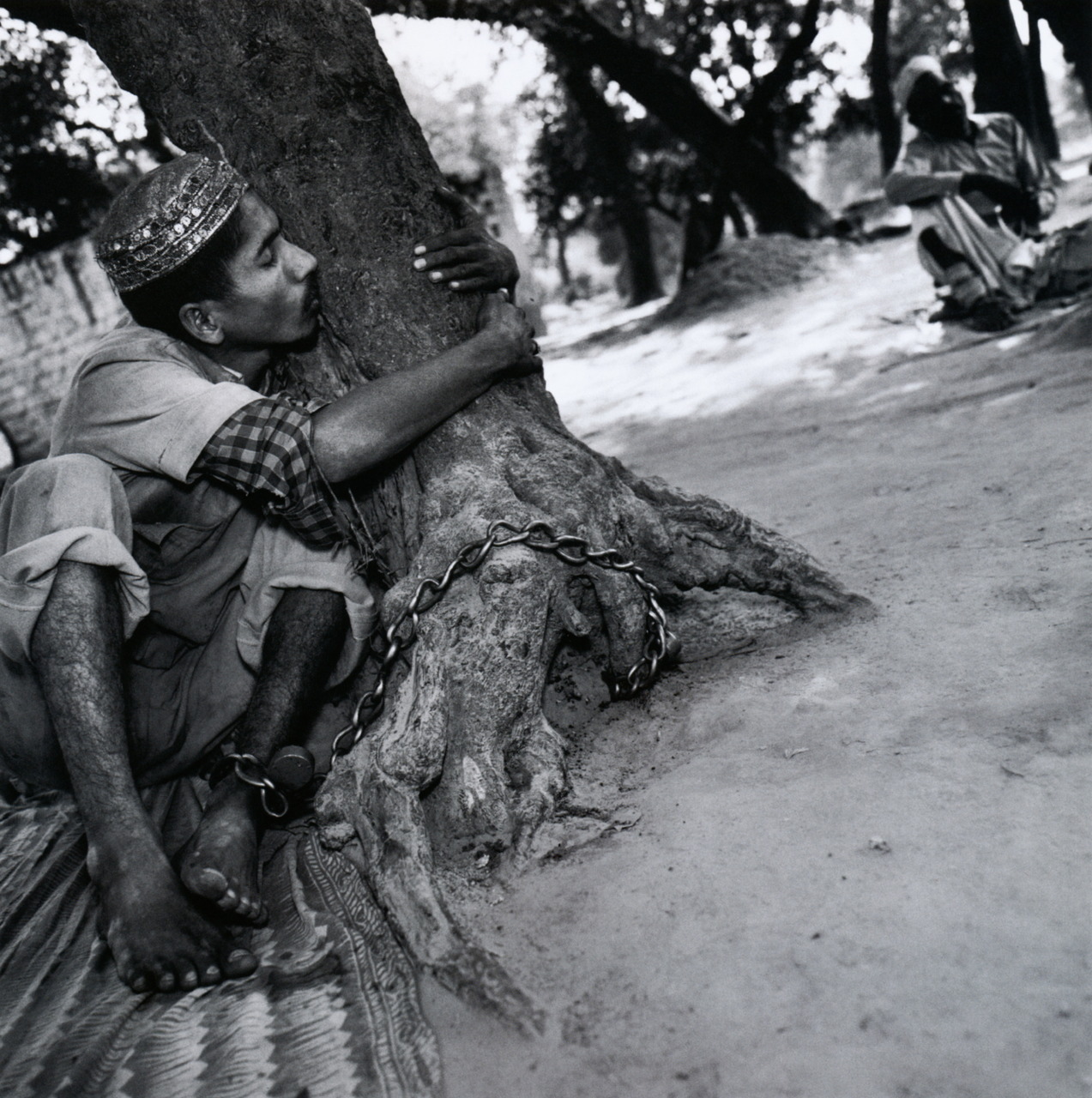 Mary Ellen MarkThe Man Who Loved His TreeUttar Pradesh, India, 1989