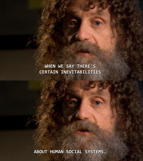 universalequalityisinevitable:Robert Sapolsky about his study of the Keekorok baboon troop from Nati