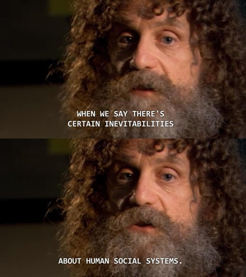 notcisjustwoman:universalequalityisinevitable:Robert Sapolsky about his study of the Keekorok baboon