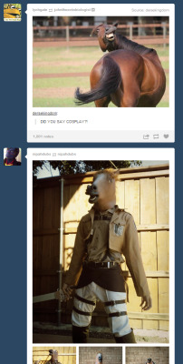 aosii:  MY DASH DID THE THING OHMYGOD 