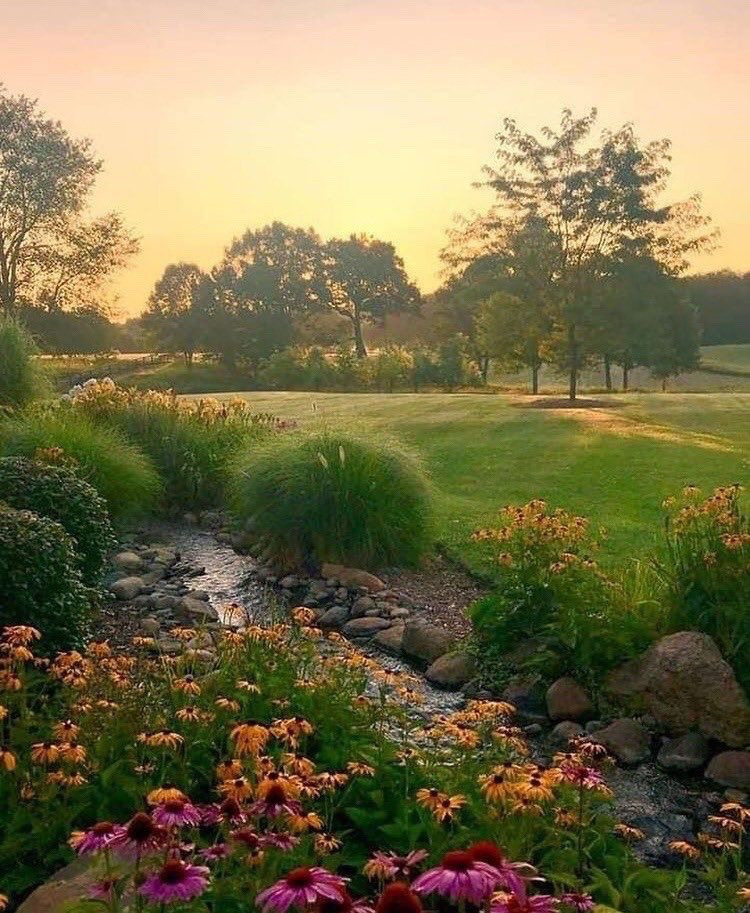 cottageaesthetic: