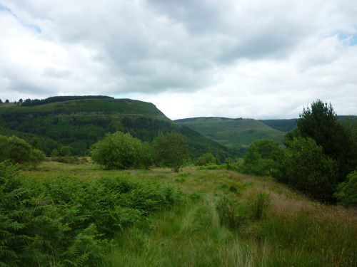 Pen Pych, Cwm Rhondda