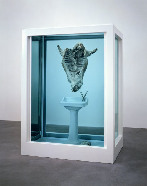 ephemeralol:   Damien Hirst   The Tranquility adult photos