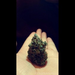 Weed-Holic:  ”Purple Passion 😍”    Submitted By: @Debdesdemona  Oh Yeah..