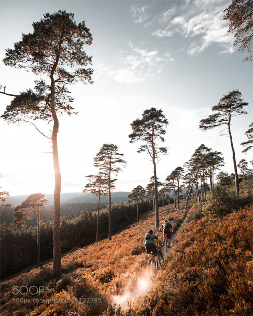 mike13mt:Mountain biking by DS_VISUALS