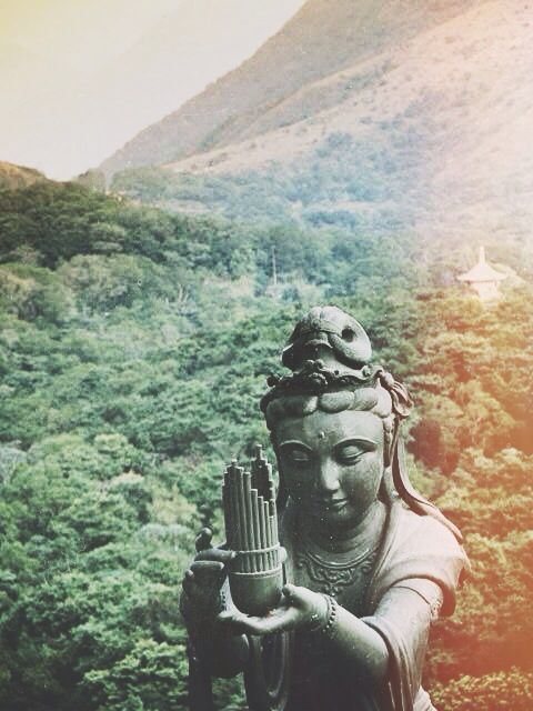 miritamoku:  nature posts here ✿