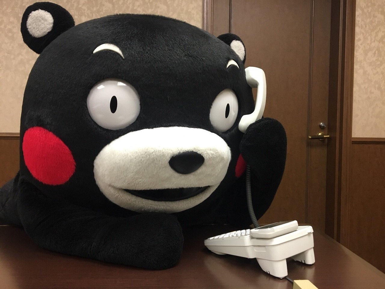 kumamonfan:moshi moshi kumamon desu