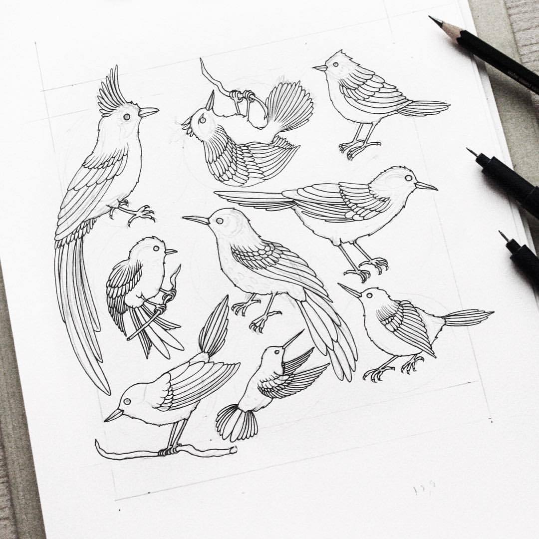 menis_art — Doing some bird study… #bird #animal #birds #bw...