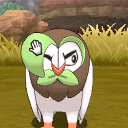 sodomymcscurvylegs:  mercycore:    🌞  Dartrix | Torracat | Brionne  🌙    Dartrix out here boutta call the manager on me! 
