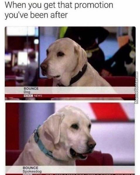 libertarirynn:Reblog if you’re proud of him