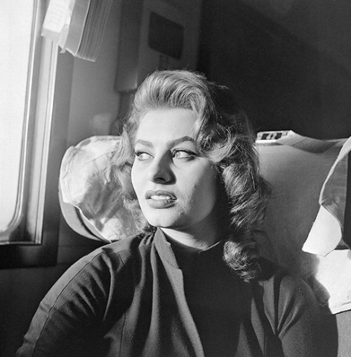 Porn avagardner: Sophia Loren sleeps inside a photos