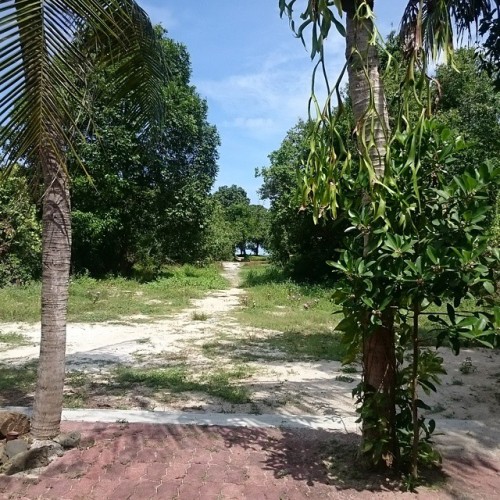 juliefoodface:  11:53am: the path to the beach from our room. #langkawi #langkawitrip #langkawiislan