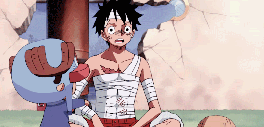 Where shall we go, Luffy? — popgreen: Episode 880 ↴ Luffy