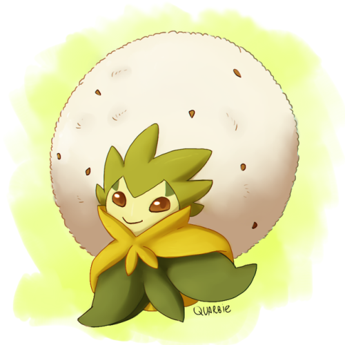 Eldegoss 