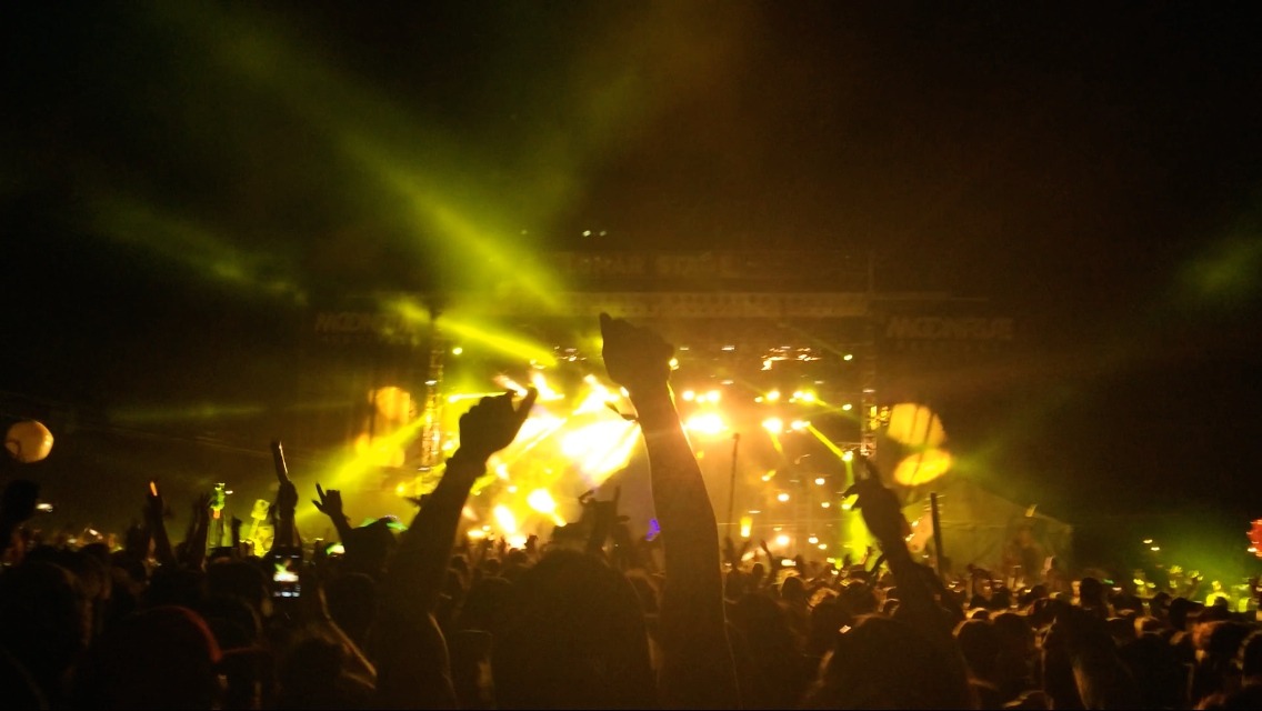 ravedm:  Bassnectar @ Moonrise Festival 2014 
