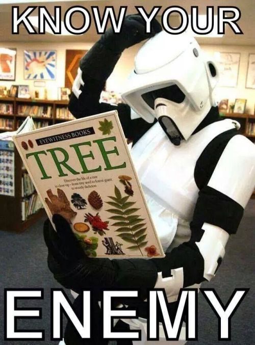 Jedi! I have been waiting for you!